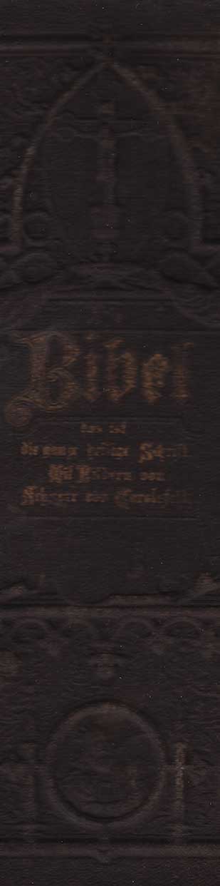 Engel-Mitte